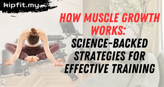 How Muscle Growth Works Science Backed Strategies for Effective Training Kipfit Home Gym Equipment