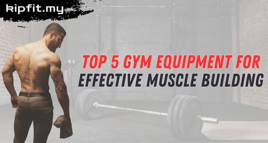 Top 5 Gym Equipment for Effective Muscle Building Kipfit Home Gym Equipment