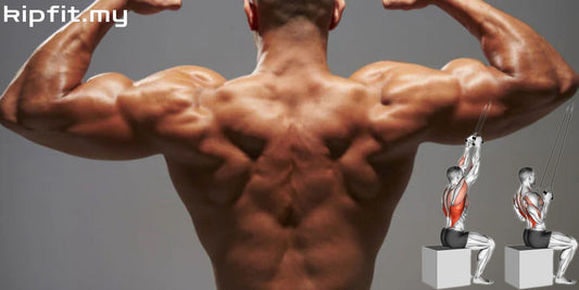How to Build a Strong Back at Home: 9 Powerful Exercises Kipfit Home Gym equipment