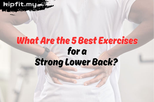 What Are the 5 Best Exercises for a Strong Lower Back? Kipfit