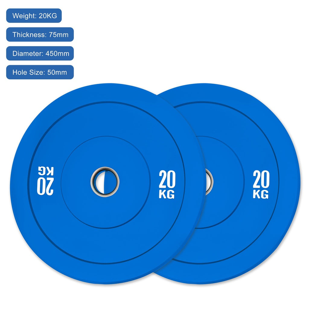 Coloured Bumper equipment 20kg