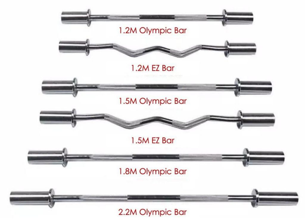Olympic Barbell 1.2m S Curl Bar