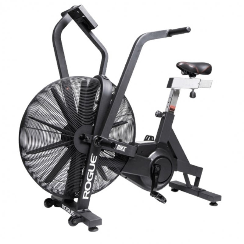 Rogue Echo Bike
