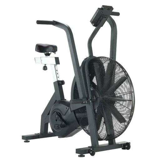 Rogue Echo Bike