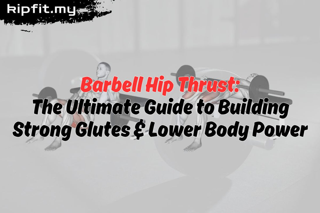 Barbell Hip Thrust