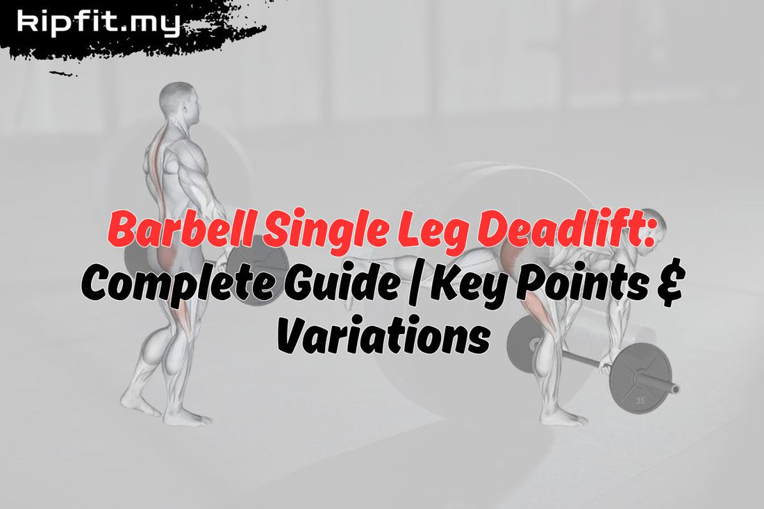 Barbell Single Leg Deadlift
