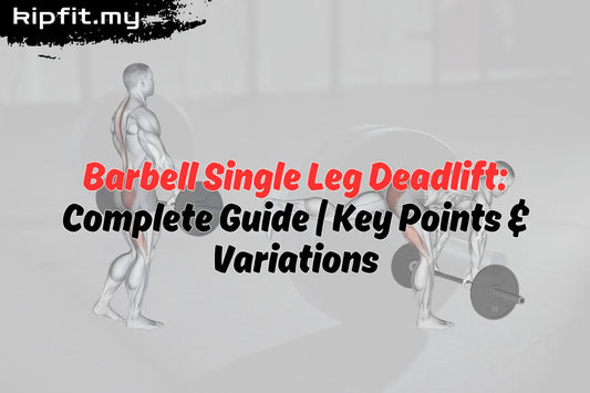 Barbell Single Leg Deadlift