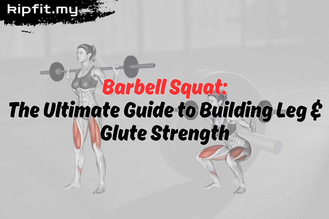 Barbell Squat