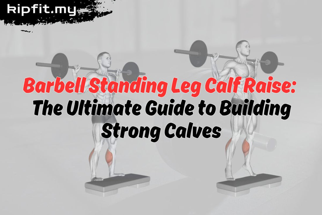 Barbell Standing Leg Calf Raise