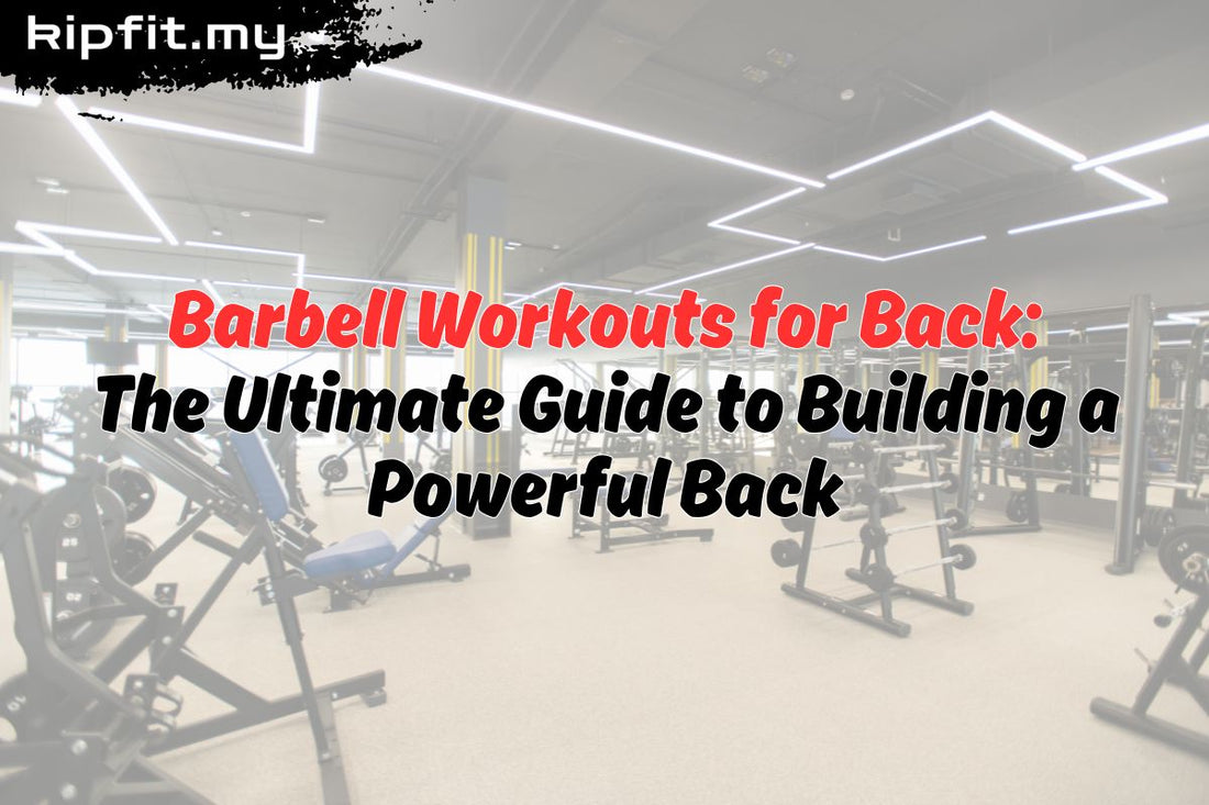 Barbell Workouts for Back: The Ultimate Guide to Building a Powerful Back