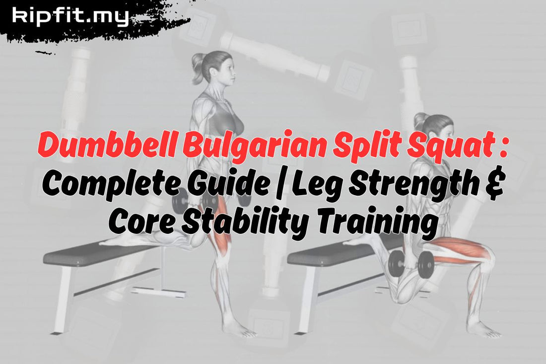 Dumbbell Bulgarian Split Squat Complete Guide｜Leg Strength & Core Stability Training