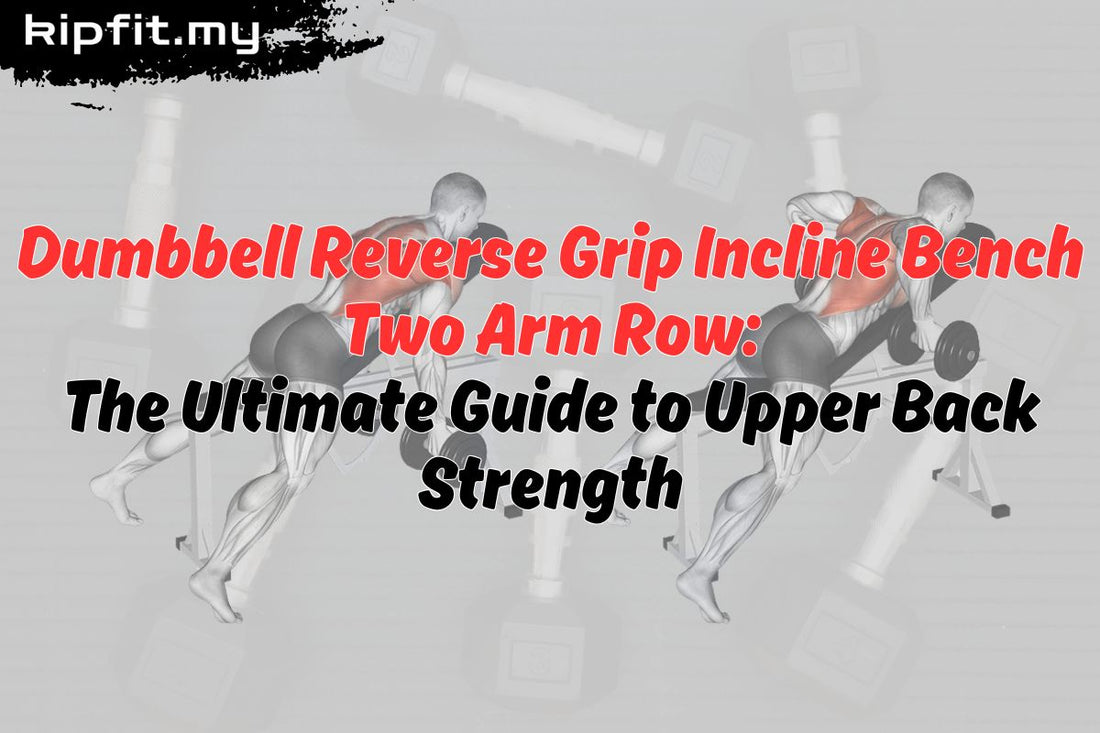 Dumbbell Reverse Grip Incline Bench Two Arm Row