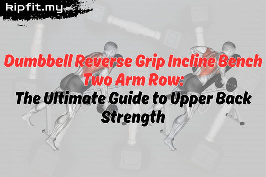 Dumbbell Reverse Grip Incline Bench Two Arm Row
