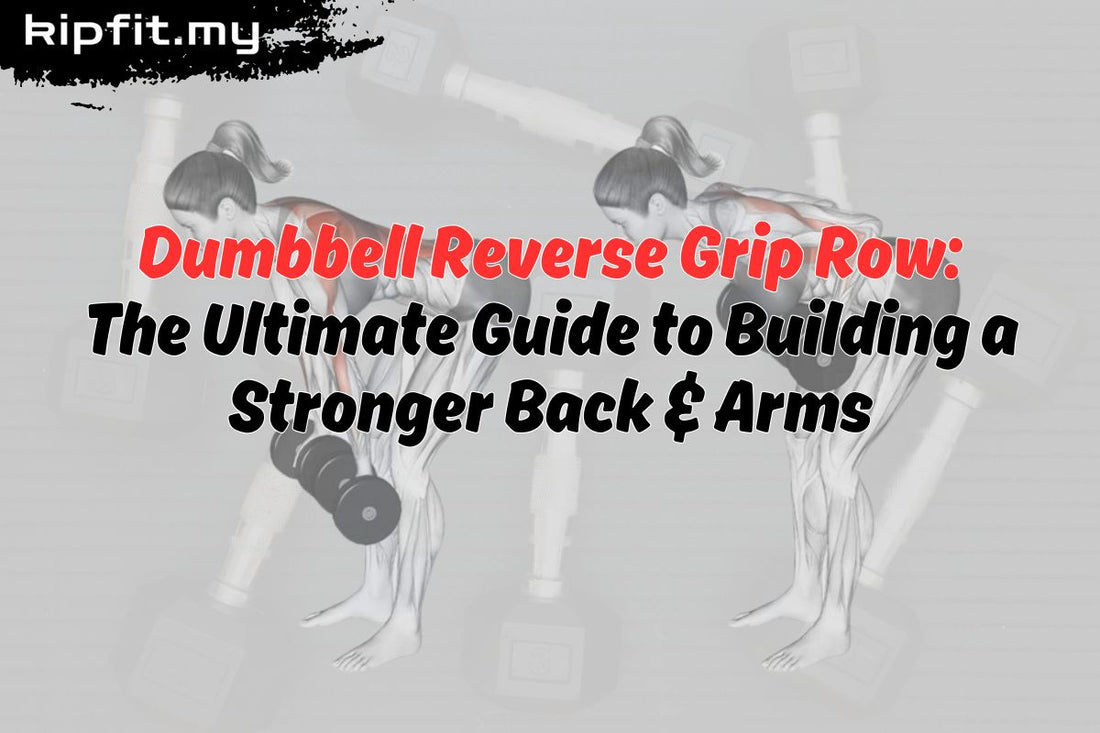 Dumbbell Reverse Grip Row