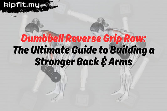 Dumbbell Reverse Grip Row