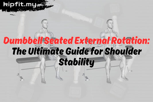 Dumbbell Seated External Rotation