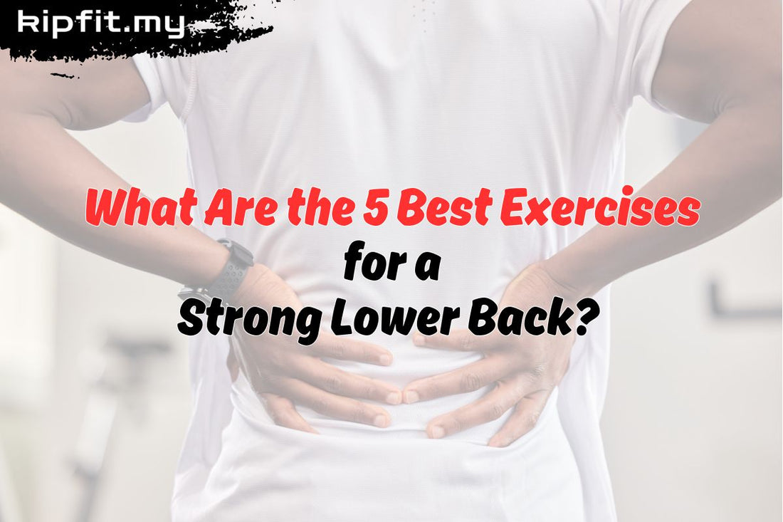 What Are the 5 Best Exercises for a Strong Lower Back?  Kipfit