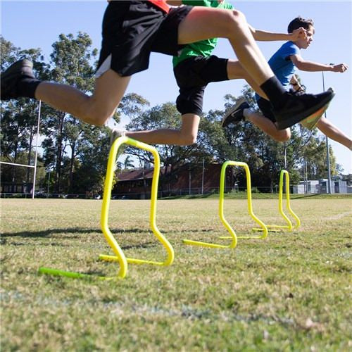 Agility Hurdles 15cm/23cm/30m/40cm/50cm/60cm