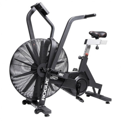 Rogue Echo Bike