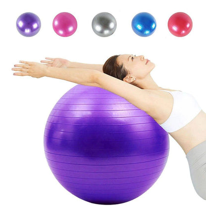 Swiss Ball Pink?/65cm